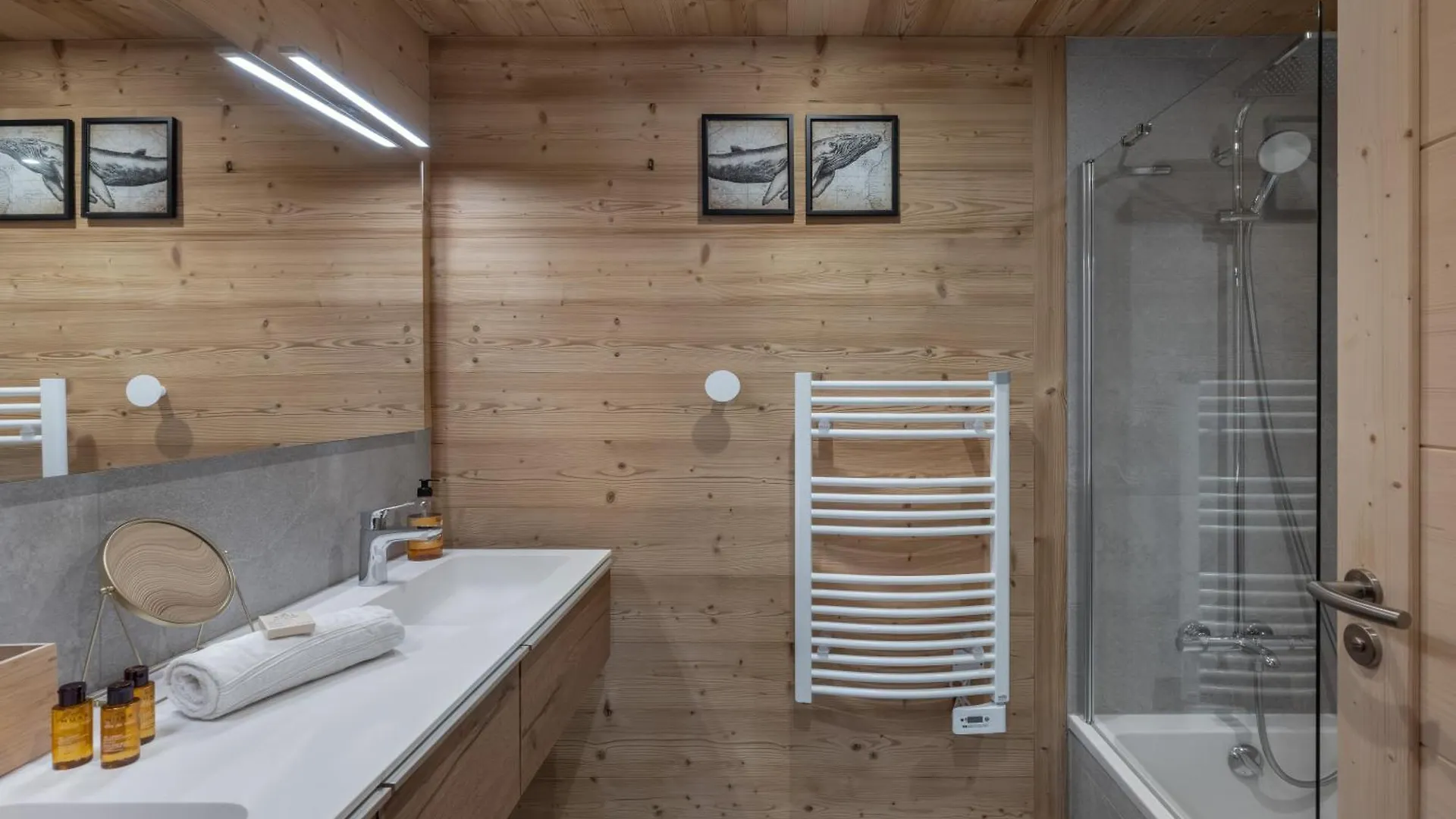 3 Fontaines: Chatel Apartment with Multipass Option 0*,  France